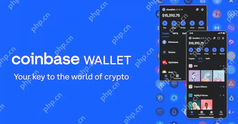 COINBASE交易所官网 Coinbase交易平台app下载安装指南 - php中文网