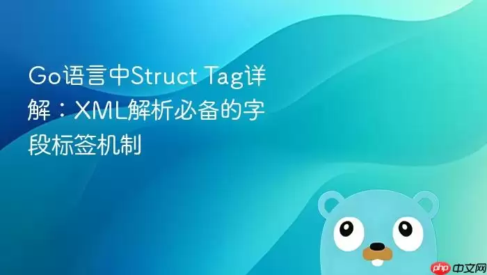 Go语言中Struct Tag详解：XML解析必备的字段标签机制
