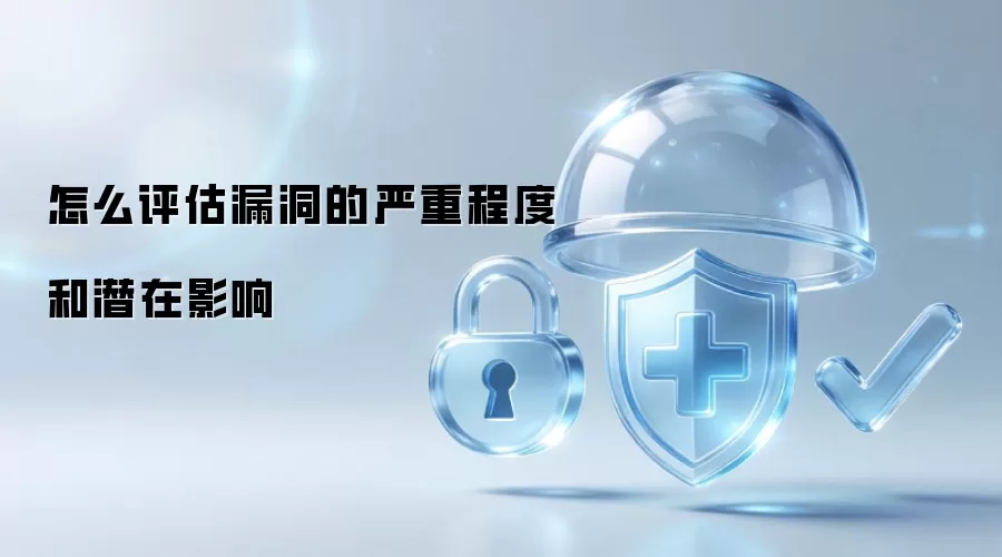 怎么评估漏洞的严重程度和潜在影响