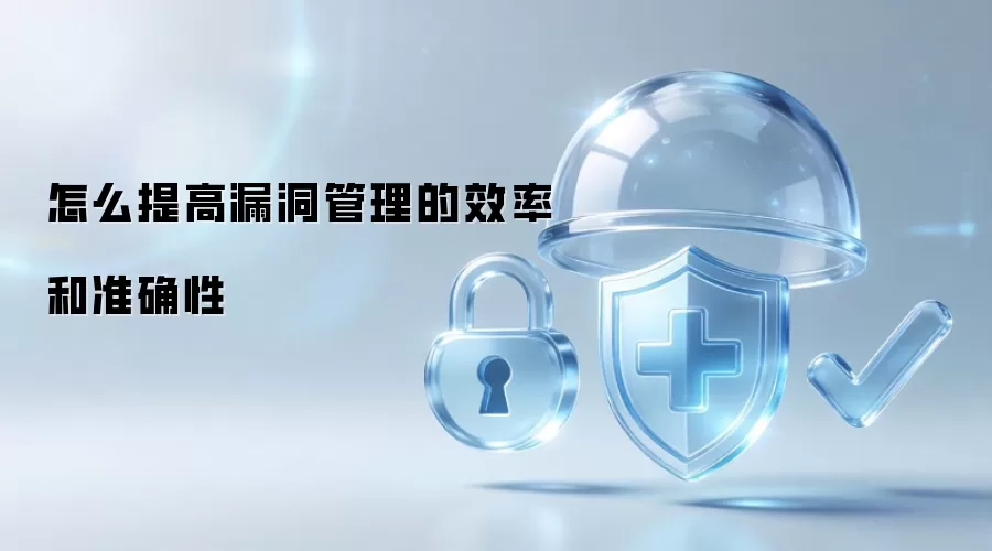 怎么提高漏洞管理的效率和准确性