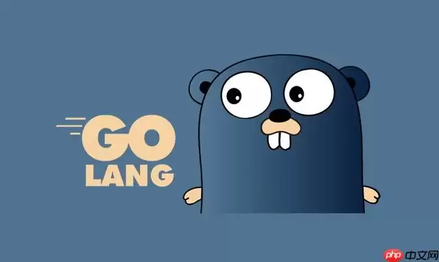 golang如何实现OWASP Top10防护_golang OWASP Top10防护实现攻略