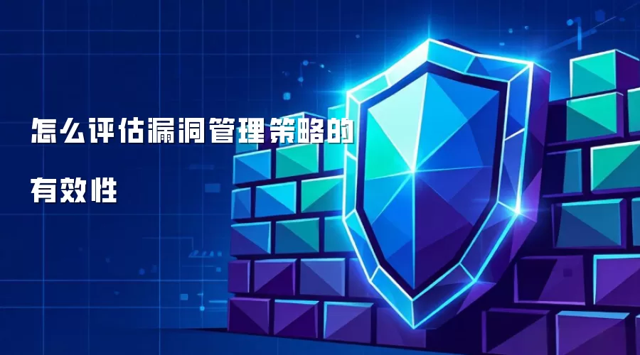 怎么评估漏洞管理策略的有效性