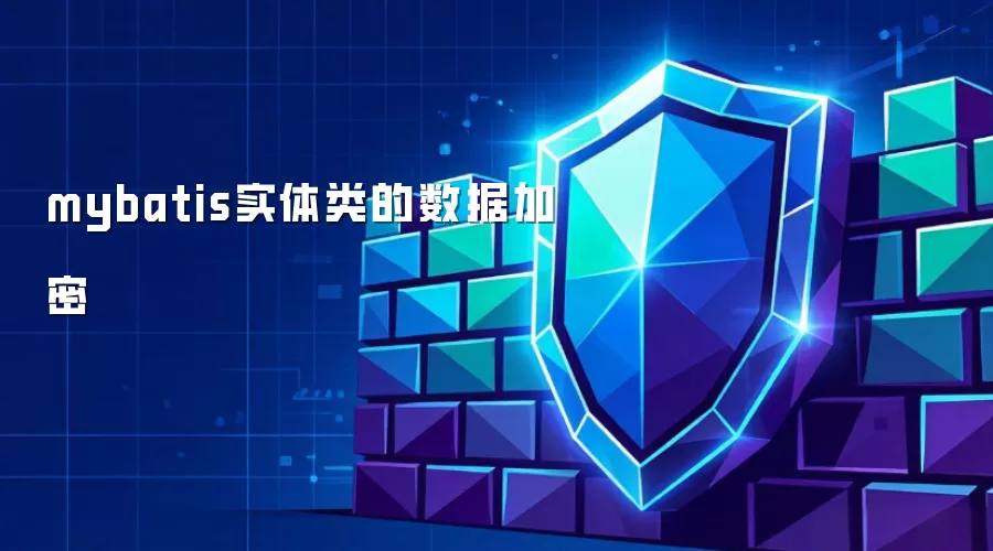 mybatis实体类的数据加密
