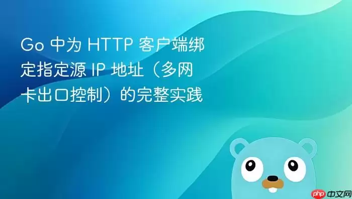 Go 中为 HTTP 客户端绑定指定源 IP 地址（多网卡出口控制）的完整实践