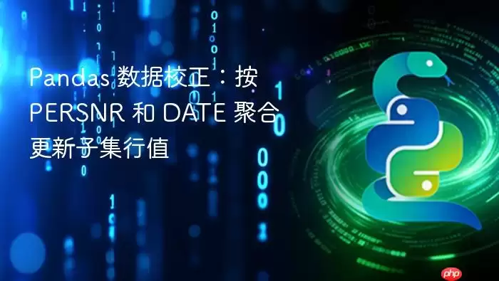 Pandas 数据校正：按 PERSNR 和 DATE 聚合更新子集行值