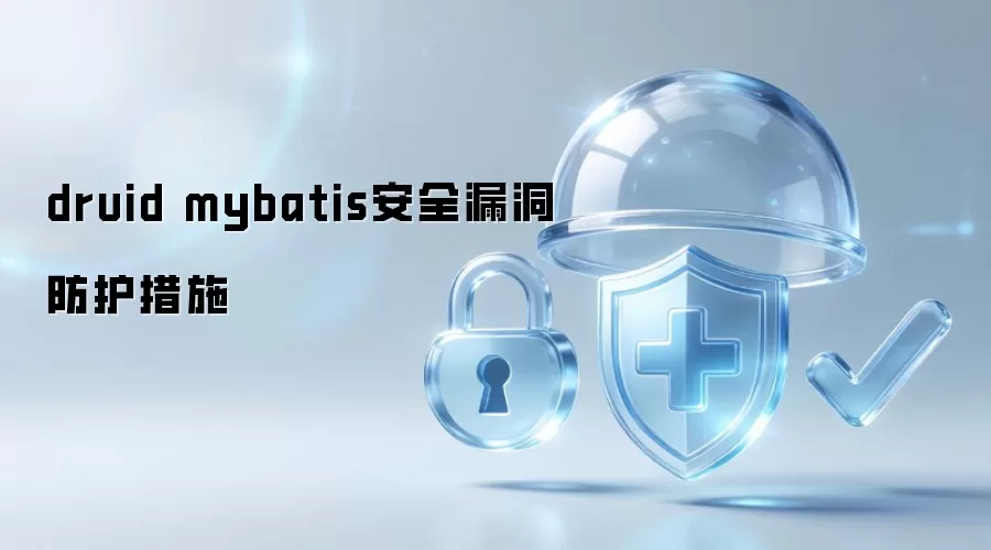 druid mybatis安全漏洞防护措施