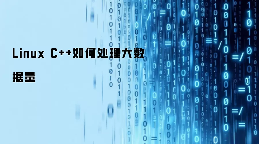 Linux C++如何处理大数据量