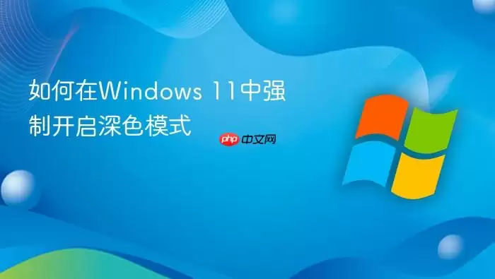 如何在Windows 11中强制开启深色模式