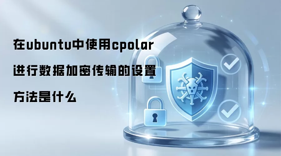 在ubuntu中使用cpolar进行数据加密传输的设置方法是什么