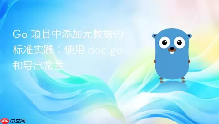 Go 项目中添加元数据的标准实践：使用 doc.go 和导出常量
