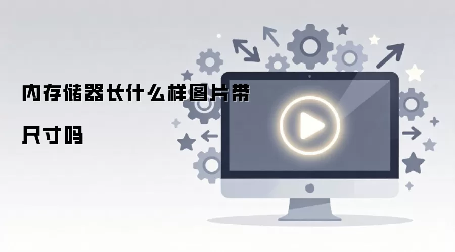 内存储器长什么样图片带尺寸吗
