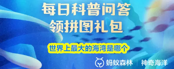 世界上最大的海湾是哪个