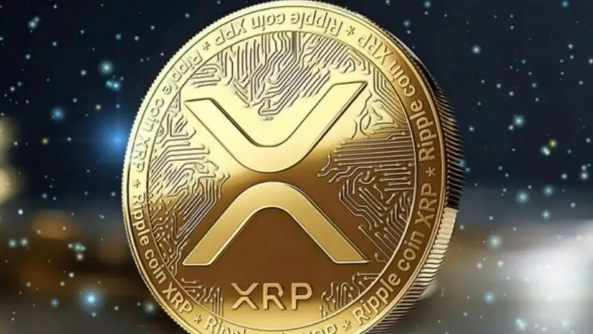 手续费交易所基础1.1贵吗