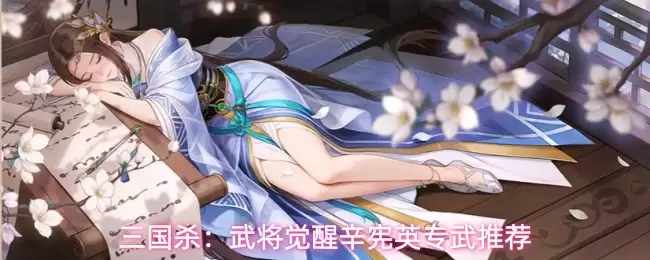 三国杀：武将觉醒辛宪英专武推荐