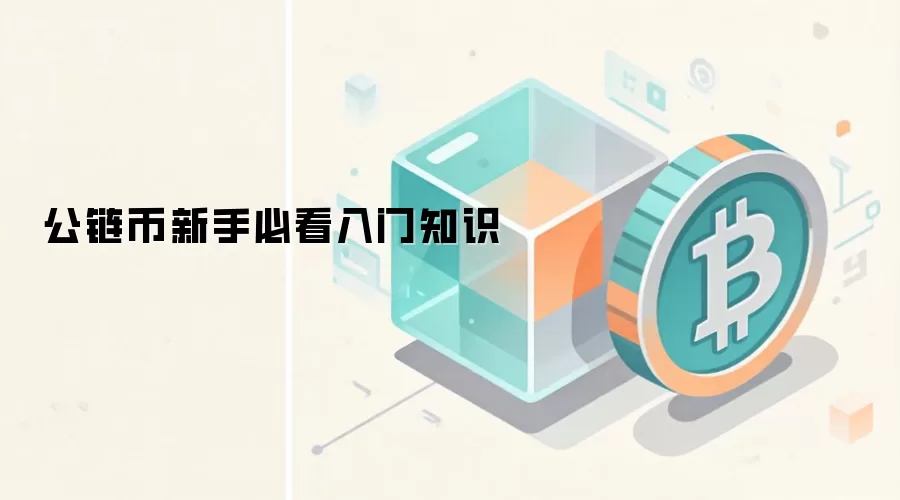 公链币新手必看入门知识