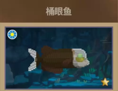 潜水员戴夫桶眼鱼1