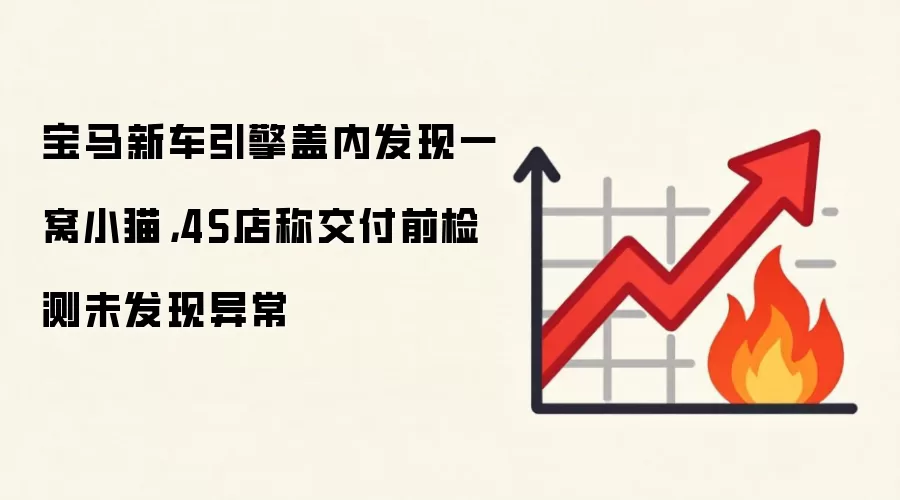 宝马新车引擎盖内发现一窝小猫，4S店称交付前检测未发现异常