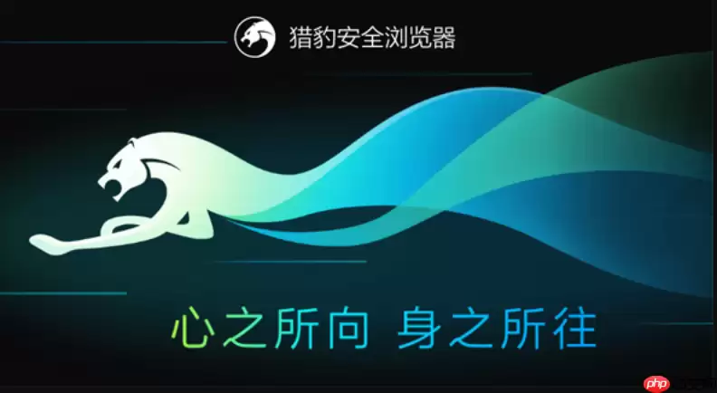 猎豹浏览器如何清除历史记录和缓存_猎豹浏览器历史记录与缓存清除大全