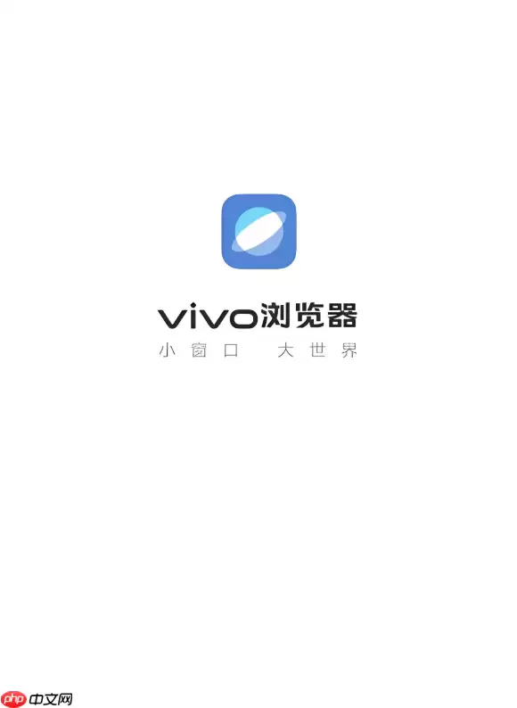 vivo浏览器怎么查看流量统计_vivo浏览器查看流量使用统计教程【指南】