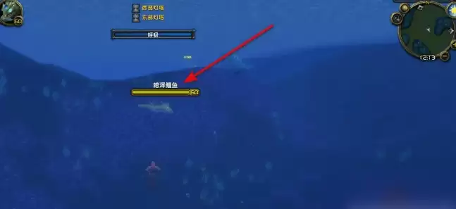 魔兽世界电鳗鱼片任务完成攻略3