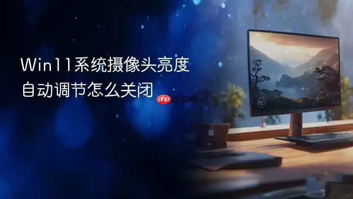 Win11系统摄像头亮度自动调节怎么关闭