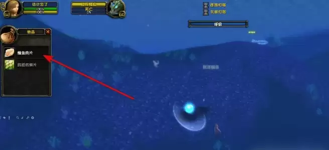 魔兽世界电鳗鱼片任务完成攻略6