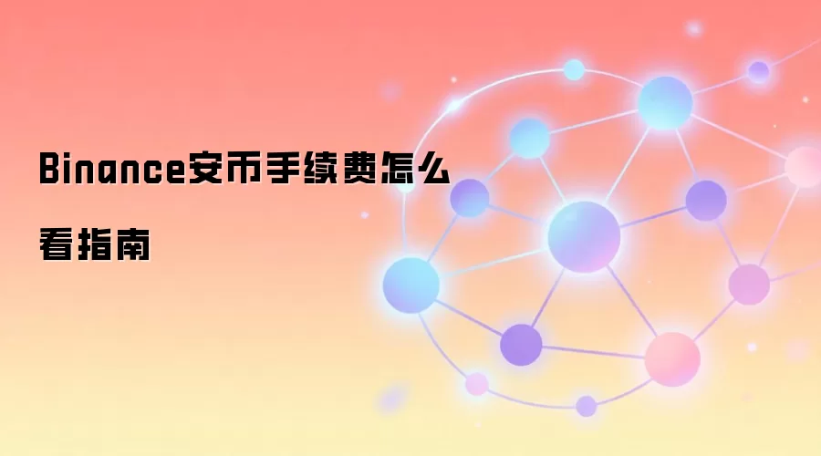 Binance安币手续费怎么看指南