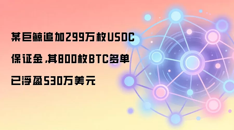 某巨鲸追加299万枚USDC保证金，其800枚BTC多单已浮盈530万美元
