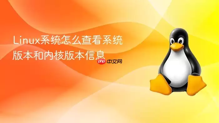 Linux系统怎么查看系统版本和内核版本信息