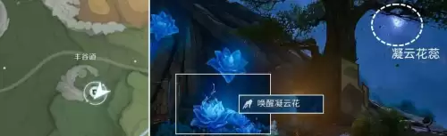 王者荣耀世界问迹凝云花之踪解谜任务完成流程