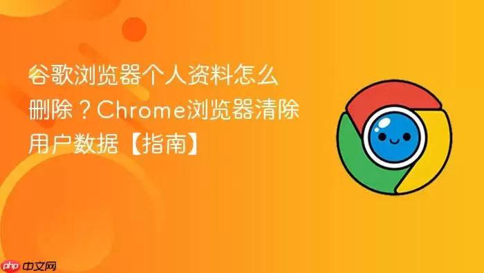 谷歌浏览器个人资料怎么删除？Chrome浏览器清除用户数据【指南】