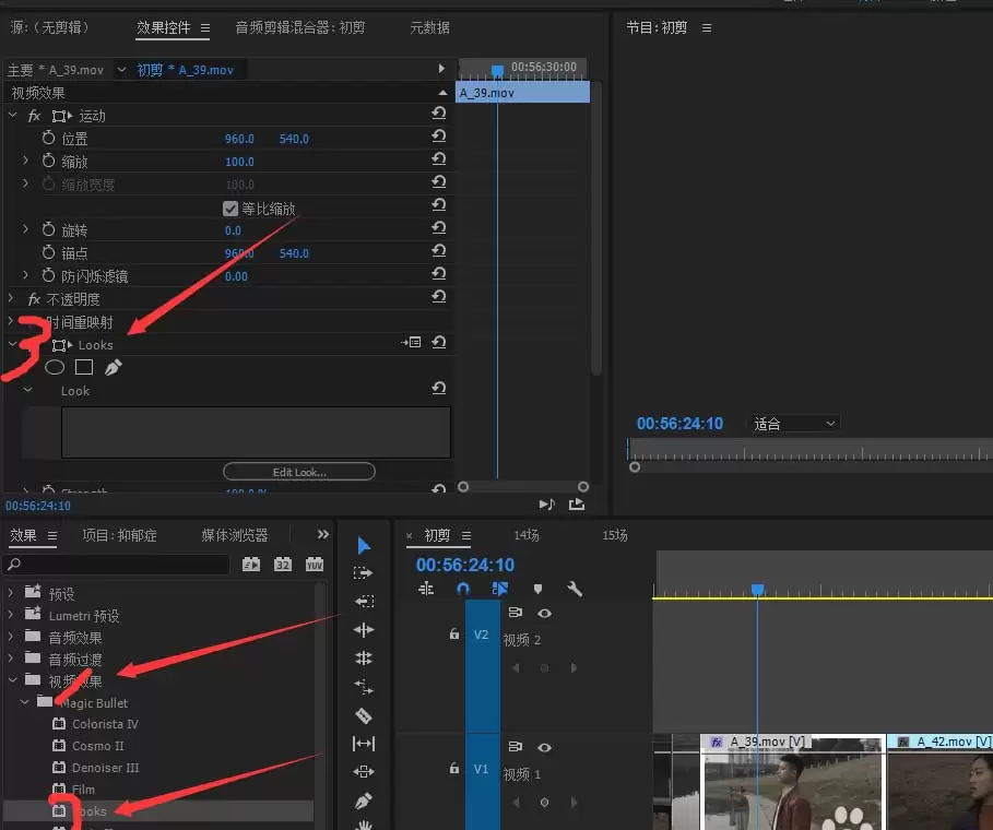 premiere怎么使用looks插件