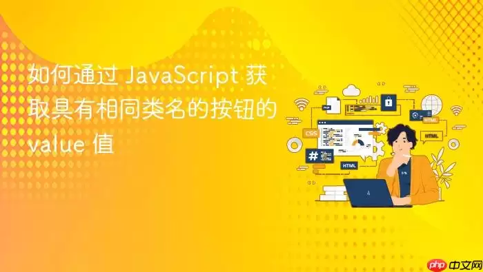 如何通过 Ja vaScript 获取具有相同类名的按钮的 value 值