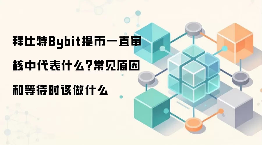 拜比特Bybit提币一直审核中代表什么?常见原因和等待时该做什么