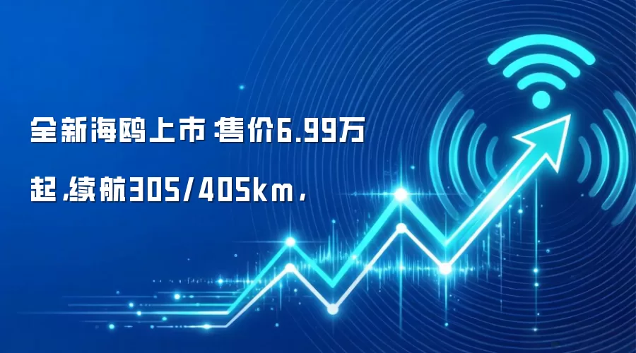 全新海鸥上市：售价6.99万起，续航305/405km，