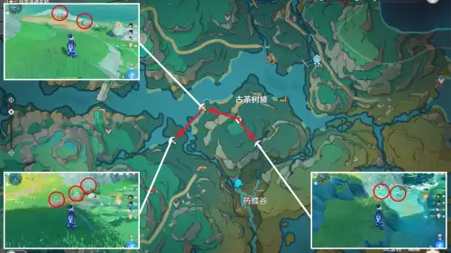 原神清水玉位置图一览-清水玉采集路线说明