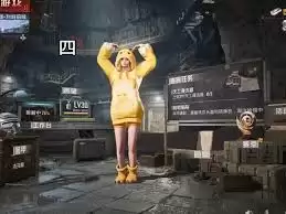怎样玩好和平精英