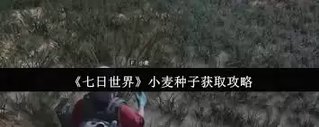 七日世界如何获取小麦种子