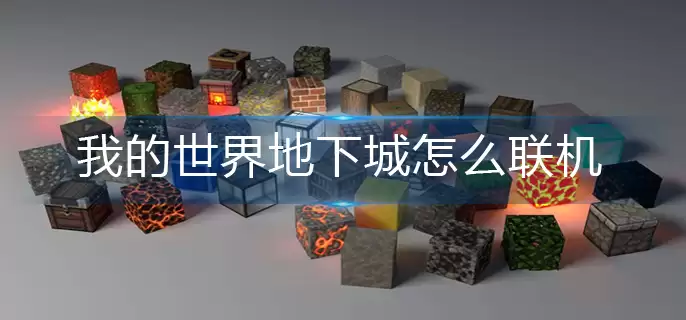 我的世界地下城联机方法 我的世界地下城联机方法
