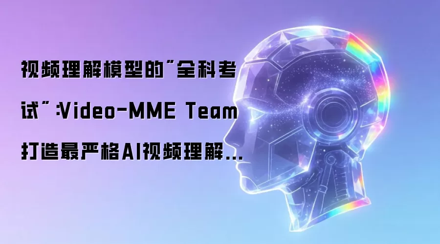 视频理解模型的