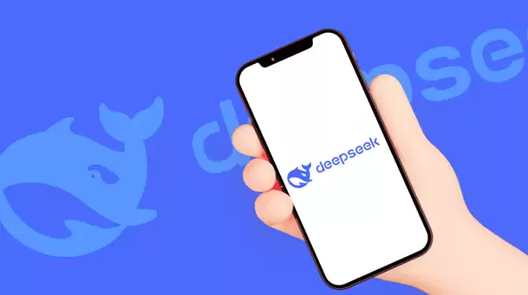 DeepSeek专家模式无法上传文件 官方提示：目前资源紧张