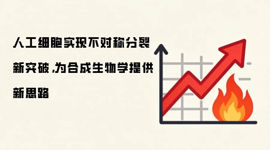 人工细胞实现不对称分裂新突破，为合成生物学提供新思路