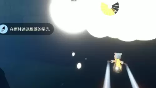 在雨林追逐散落的星光2 在雨林追逐散落的星光2