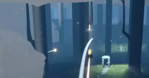 在雨林追逐散落的星光1 在雨林追逐散落的星光1
