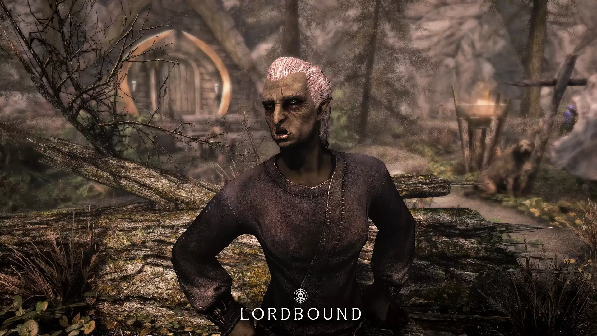 《上古卷轴5》神级MOD“Lordbound”公开:拥有系列最大主线剧情