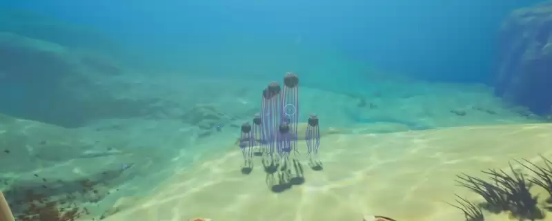 《深海迷航2：异星水域》死腐水母包裹获得方法介绍