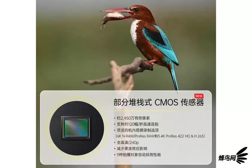 Z8Z9的精髓传承 尼康Z6III单机售价18999元