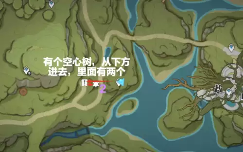 原神树王圣体菇高效采摘路线图片24