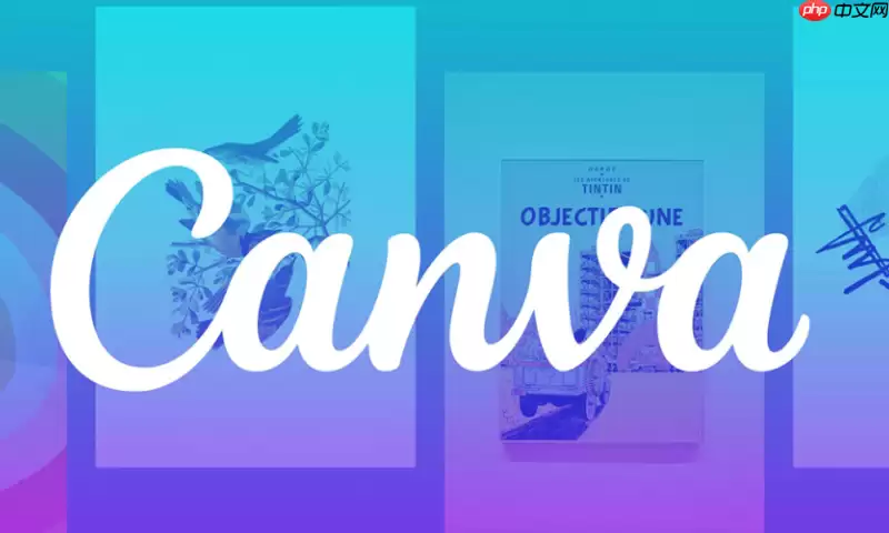 Canva可画魔法抓取功能_一键提取设计配色与字体
