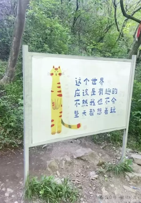 河南嵩山爬不动了吧标语被指嘲讽游客遭更换！景区回应